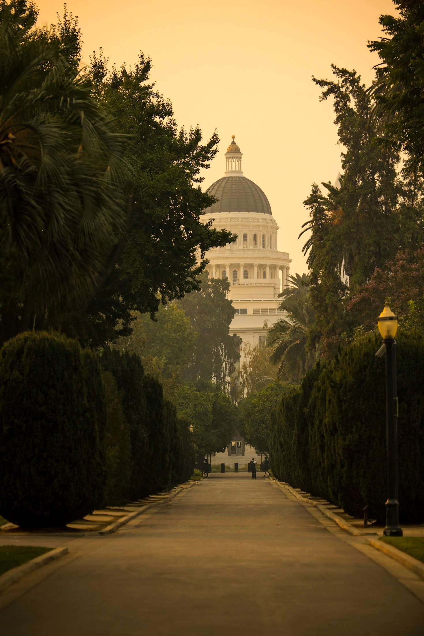 10 Must-Visit Cultural Attractions in Sacramento